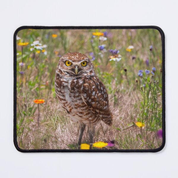 Item preview, Burrowing Owl designed and sold by Alla Gill.