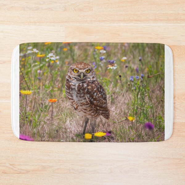 Item preview, Burrowing Owl designed and sold by Alla Gill.