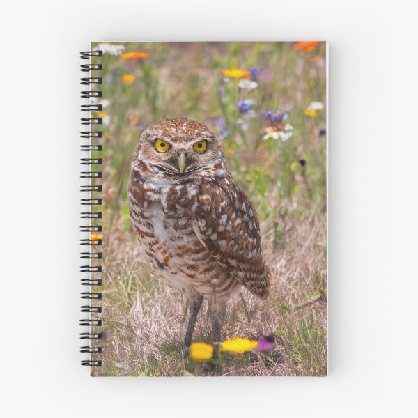 Item preview, Burrowing Owl designed and sold by Alla Gill.