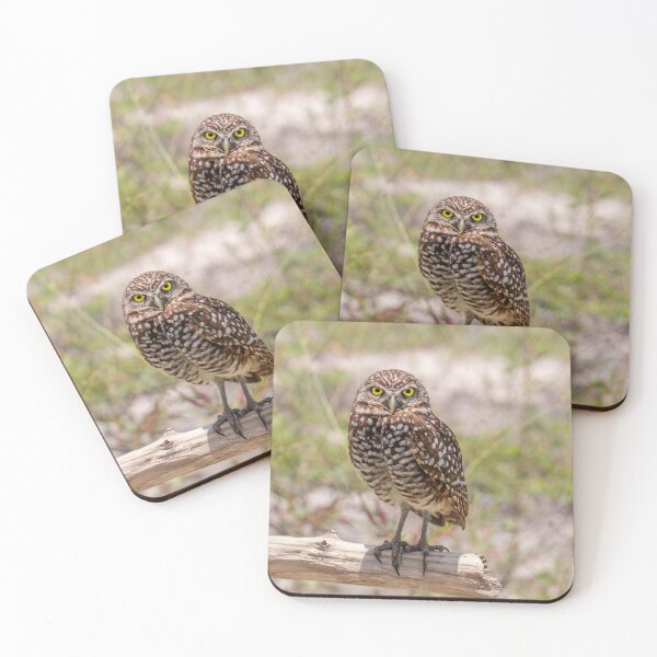 Item preview, Owl lovers designed and sold by Alla Gill.