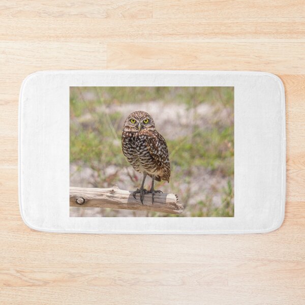 Item preview, Owl lovers designed and sold by Alla Gill.