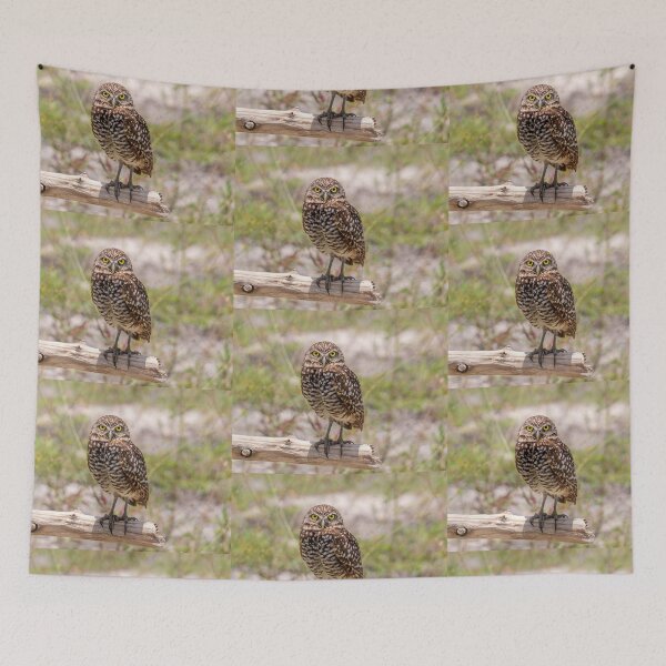 Item preview, Owl lovers designed and sold by Alla Gill.