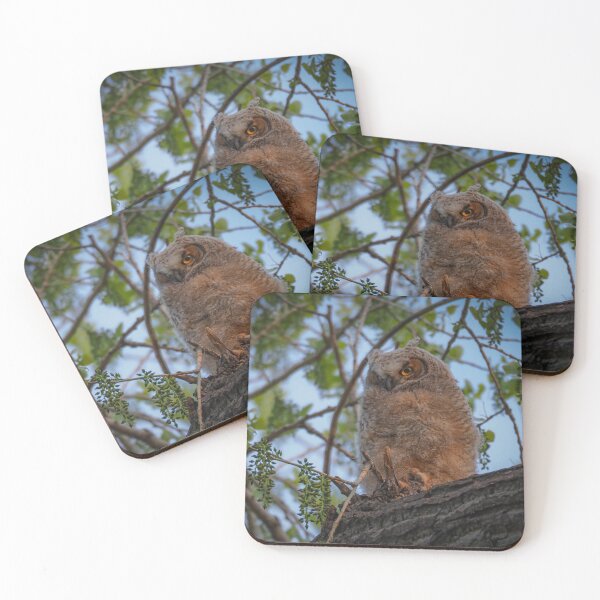 Item preview, Owlet designed and sold by Alla Gill.