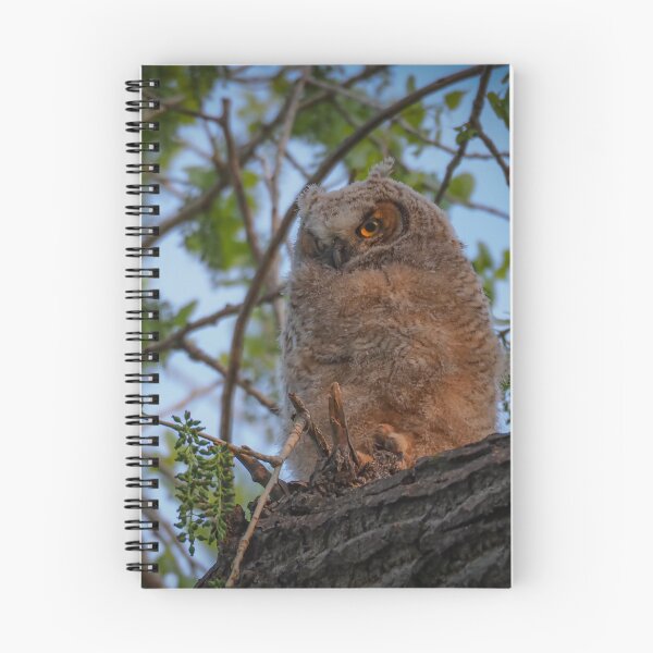 Item preview, Owlet designed and sold by Alla Gill.
