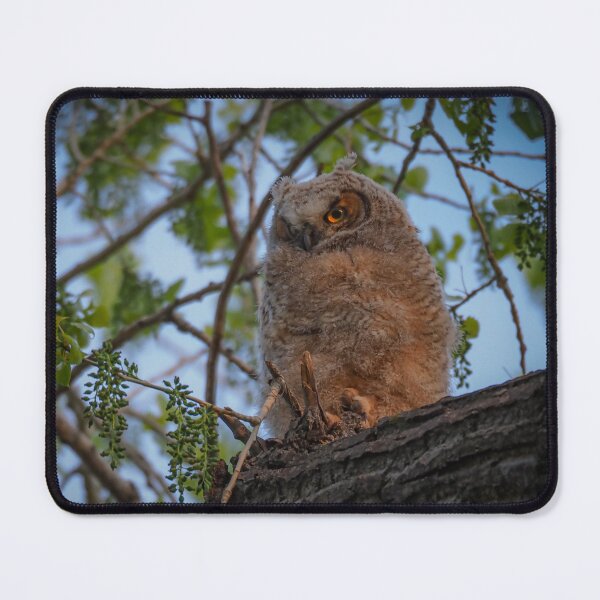 Item preview, Owlet designed and sold by Alla Gill.