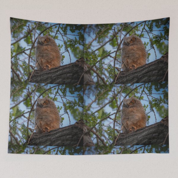 Item preview, Owlet designed and sold by Alla Gill.