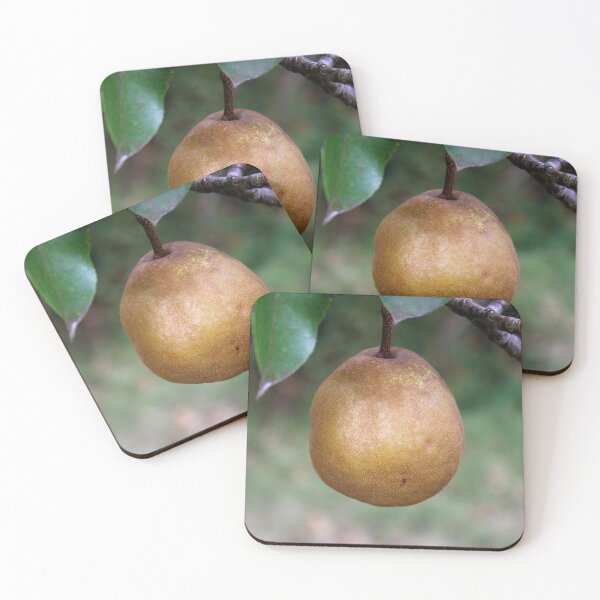 Item preview, Pear designed and sold by McFleur's Lens.