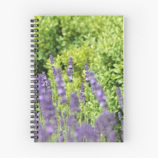 Item preview, Lavender designed and sold by CF11.
