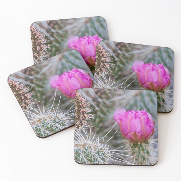 Item preview, Beavertail Cactus Flower – Arizona designed and sold by Travelways.