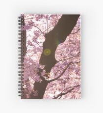 Sonnenuntergang Sakura Cherry Blossoms in Japan Spiralblock