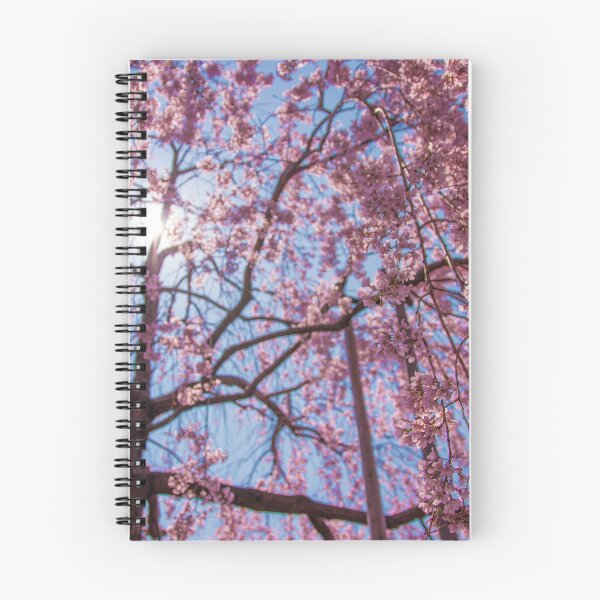 Item preview, Weeping Sakura (Cherry Blossom) Tree from Japan designed and sold by TokyoLens.
