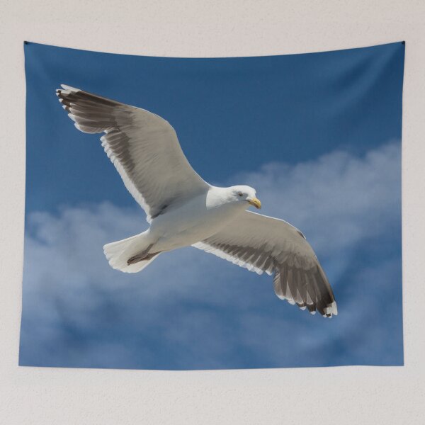 Item preview, Seagull in flight designed and sold by HaleyRedshaw.