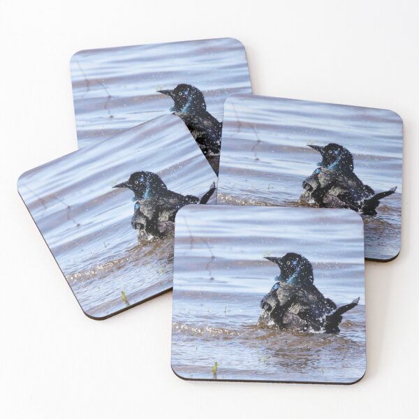 Item preview, Splashing Grackle designed and sold by Alyce Taylor.