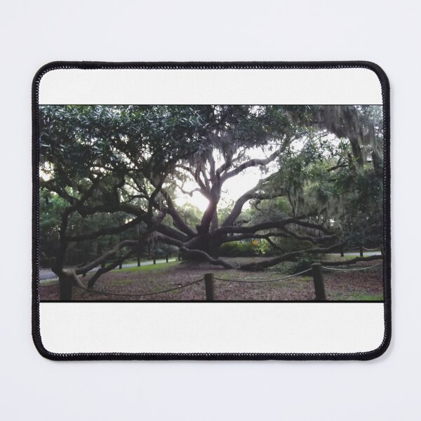 Item preview, Angel Oak Of Grays Hill designed and sold by 25thStreetPhotography.