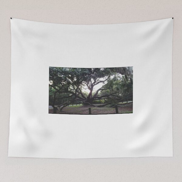 Item preview, Angel Oak Of Grays Hill designed and sold by 25thStreetPhotography.