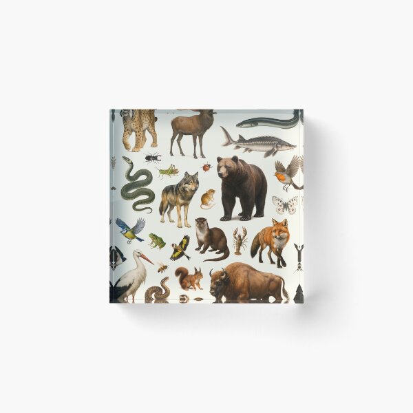 Item preview, Animals of Eastern Europe Retro Illustration Wildlife Chart designed and sold by kakarikihill.