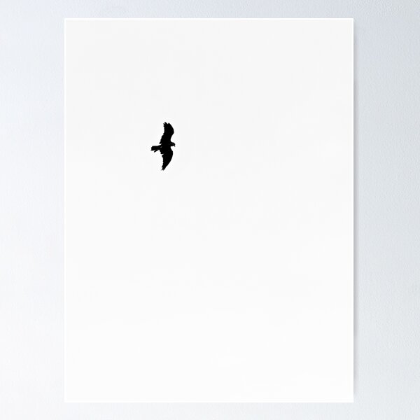 Beautiful eagle  Poster