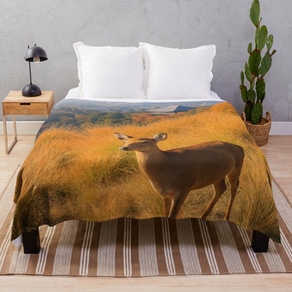 Item preview, Autumn Serenity in Wakakusa Hill, Nara, Japan designed and sold by NihonKamonScape.
