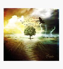 Tree Of Life Photographic Print