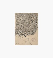 Neuron SRC Art Board