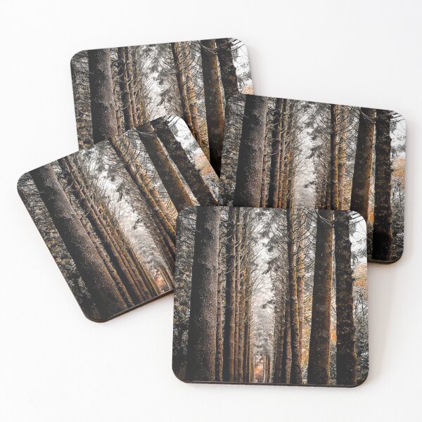 Item preview, Tall trees in winter designed and sold by PVphotography.