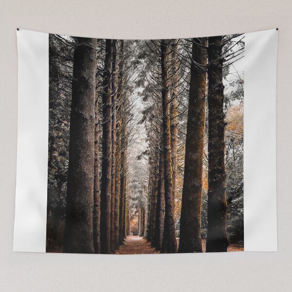 Item preview, Tall trees in winter designed and sold by PVphotography.