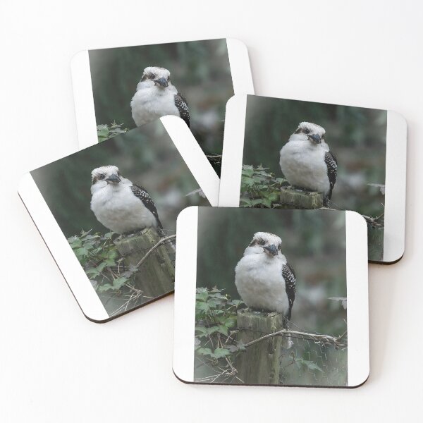 Item preview, Kookaburra designed and sold by PVphotography.