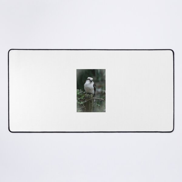 Item preview, Kookaburra designed and sold by PVphotography.