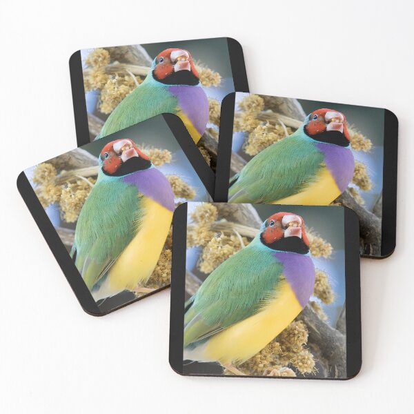 Item preview,  Gouldian Finch designed and sold by DianaLaneHJK.