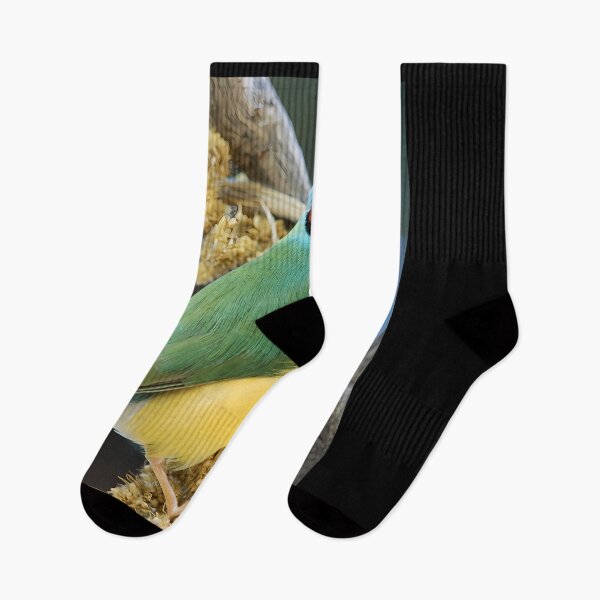 Item preview,  Gouldian Finch designed and sold by DianaLaneHJK.