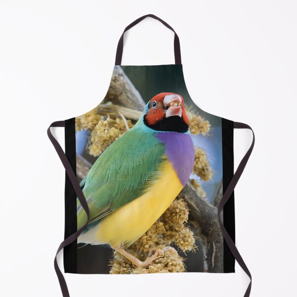 Item preview, Gouldian Finch designed and sold by DianaLaneHJK.