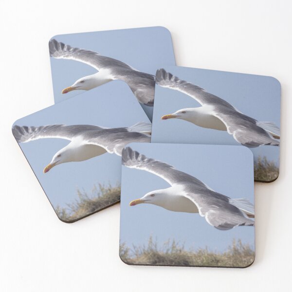 Item preview, Seagull in flight designed and sold by HaleyRedshaw.