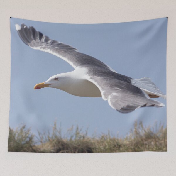 Item preview, Seagull in flight designed and sold by HaleyRedshaw.
