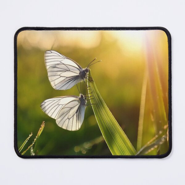 Item preview, Elegant Swan FN Herstal on the Lake designed and sold by Scott A Wilson.