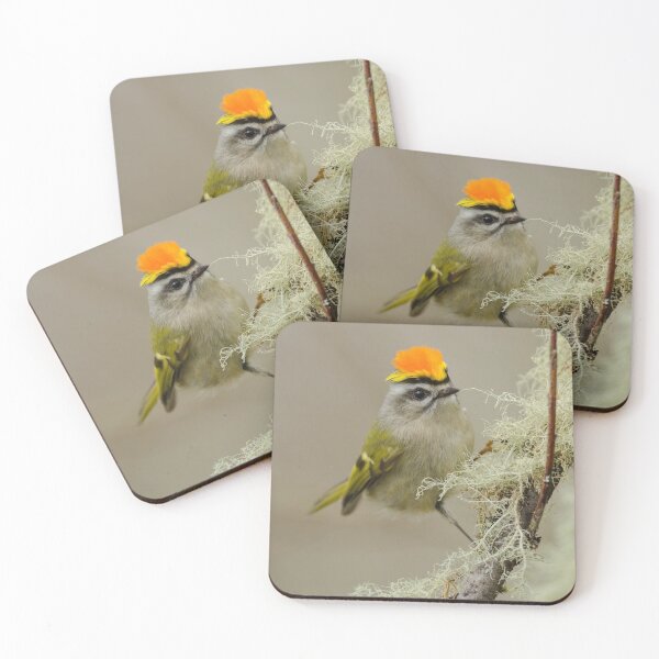 Item preview, Fierce Sierra Nevada Brewing Company Falcon in the Sky designed and sold by Scott A 	 Wilson.