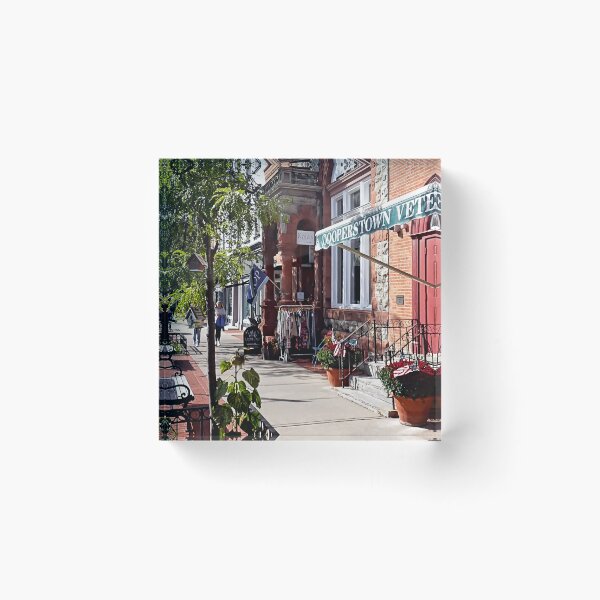 Item preview, Cooperstown NY - Main Street Near Hoffman Lane designed and sold by Susan Savad.