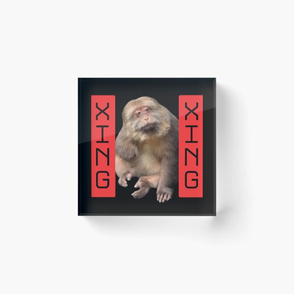 Item preview, Xing Xing designed and sold by whatthefoxsays.