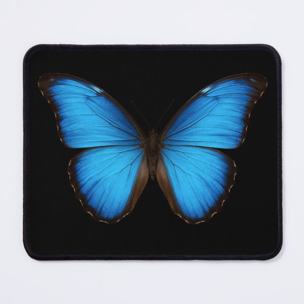 Item preview, Blue Morpo butterfly. designed and sold by moths-minor.
