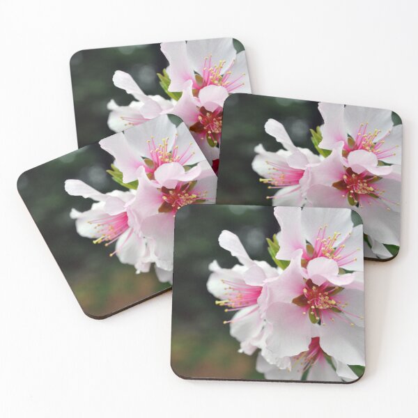 Item preview, Almond Blossoms designed and sold by AffeldtImages.