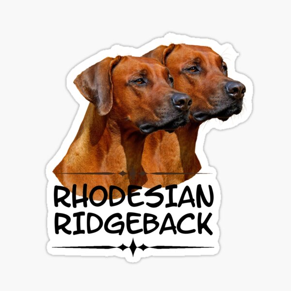 MY RHODESIAN RIDGEBACK IS A REPUBLICAN 5" DOG STICKER