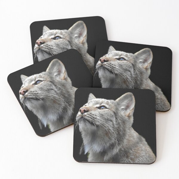 Item preview, Canada Lynx designed and sold by andrew82984.