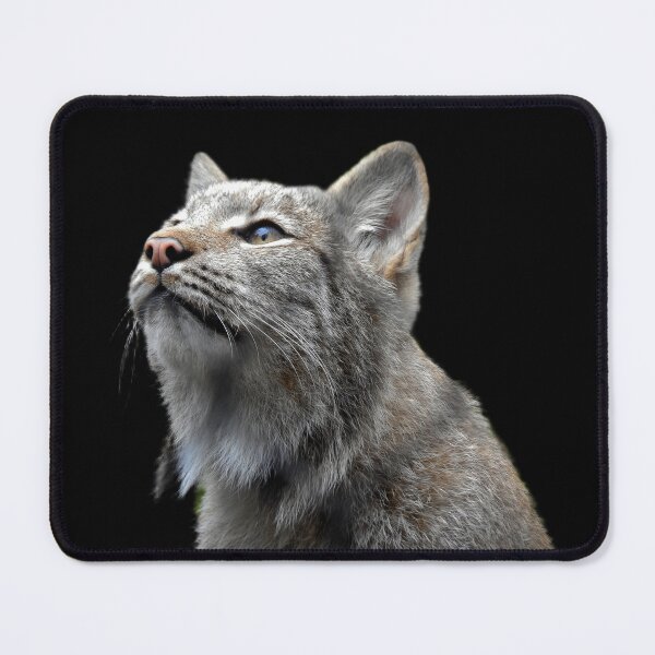 Item preview, Canada Lynx designed and sold by andrew82984.