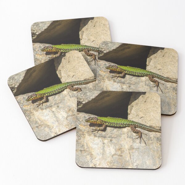 Item preview, Vibrant Green Lizard Resting On Rough Rocks In Sunlit Natural Habitat Photo Outdoor Scene designed and sold by Nmallia.
