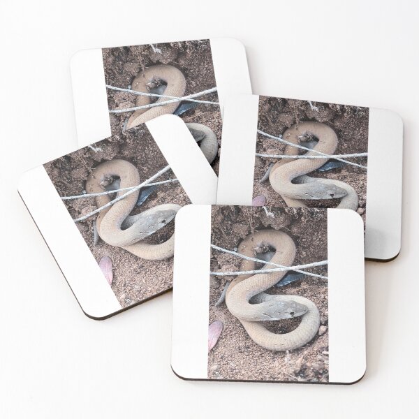 Item preview, Common Scaly-foot Legless lizard 2025 designed and sold by Danni's Delights.