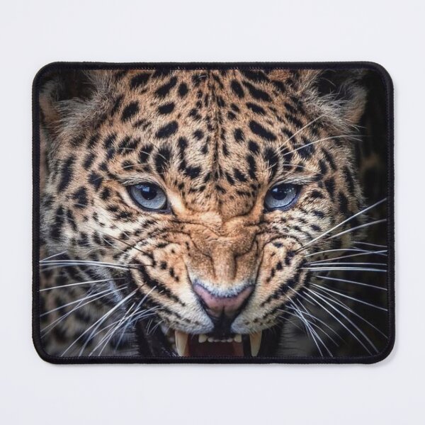 Item preview, Silent Snow Whole Foods Market Leopard in Mountains designed and sold by Charles L 	 Blow.