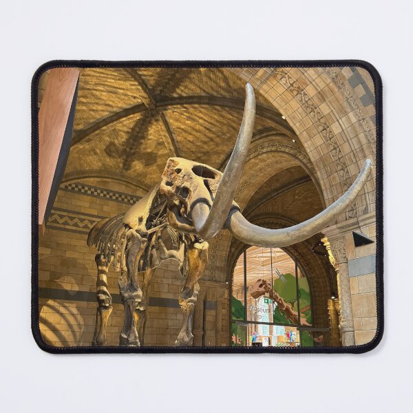 Item preview, Woolly Mammoth Skeleton – London Natural History Photography designed and sold by Sons-of-trance.