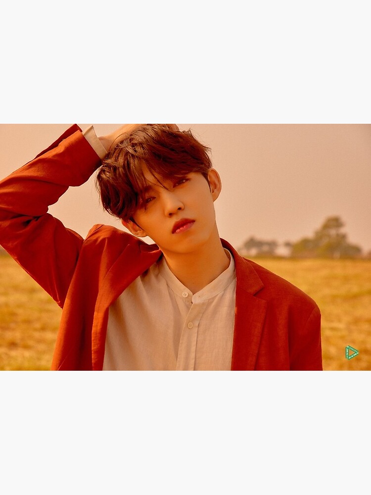 SEVENTEEN You Make buy My Day S.COUPS album (Follow Version)