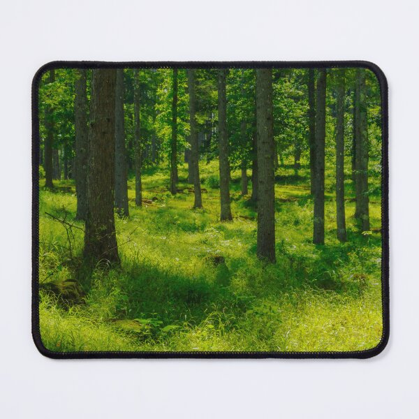 Item preview, Sunlit Woodland with Lush Greenery in Japan designed and sold by Pix4Japan.
