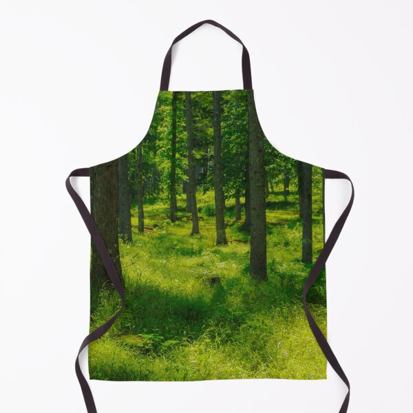 Item preview, Sunlit Woodland with Lush Greenery in Japan designed and sold by Pix4Japan.