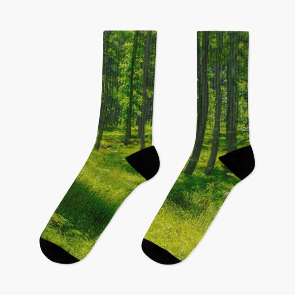 Item preview, Sunlit Woodland with Lush Greenery in Japan designed and sold by Pix4Japan.